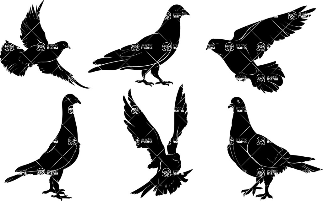 Vector silhouettes - 6 Vector Pigeon Silhouettes Set